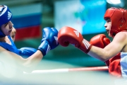 123Первенство Приволжского федерального округа по боксу 15-20.03.2016