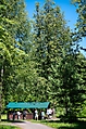 123КИБЕРФЕСТ-20 РФ 20.06.21