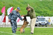 Спортивно-массовый праздник «Путь мяча» 01.06.2015