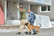 Спортивно-массовый праздник «Путь мяча» 01.06.2015