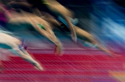Чемпионат мира по водным видам спорта – 2015 