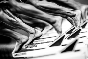 123Чемпионат мира по водным видам спорта – 2015 