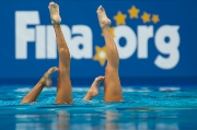 123Чемпионат мира по водным видам спорта – 2015 