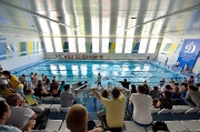 123Открытое первенство по плаванию на призы УРО ОГО ВФСО «Динамо» 24.05.2014