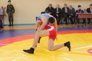 123Всероссийский турнир по вольной борьбе памяти С. Борина