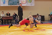 123Всероссийский турнир по вольной борьбе памяти С. Борина