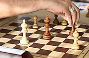 chess (24)