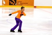 Кубок Удмуртской республики по фигурному катанию 11-12.01.2014