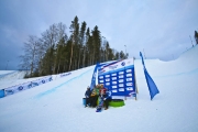 Чемпионат России-2014 по сноуборду 