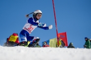 123Чемпионат УР по горым лыжам